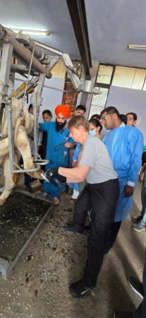 Department of Veterinary Clinical Sciences, University of Copenhagen, and Anette Vestergaard, Hoof Trimmer, demonstrated advanced hoof trimming techniques